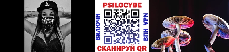Купить закладки  Свободный  Псилоцибиновые грибы ЛСД 